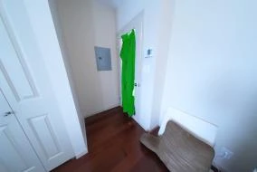 Reference view with the subject highlighted in green